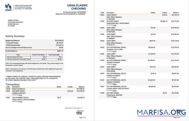 Blank USAA Federal Savings bank statement word 2 pages sample